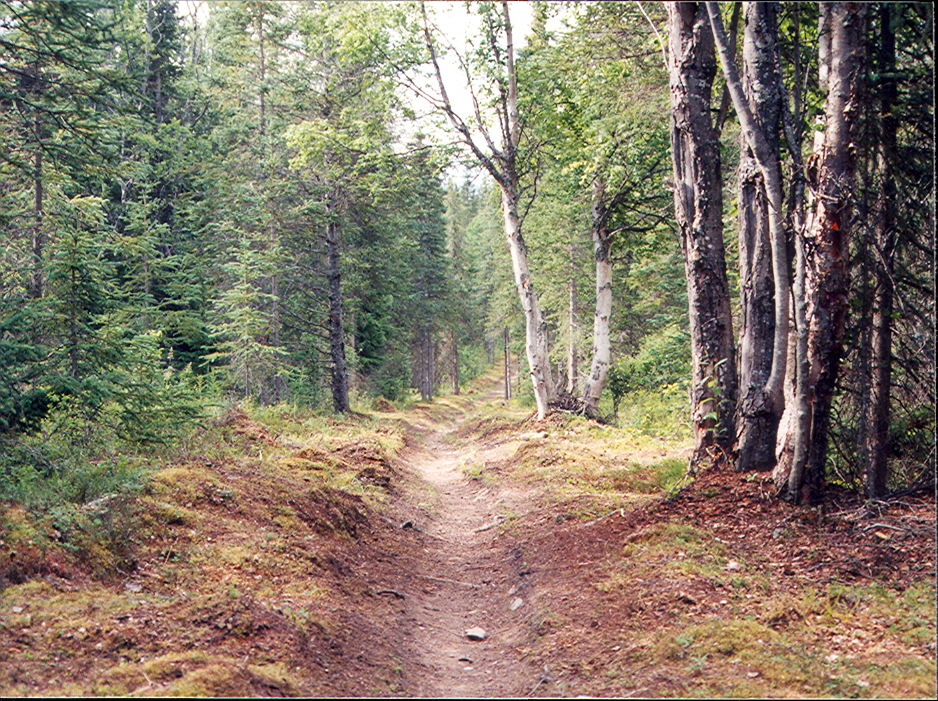 Dirt Road